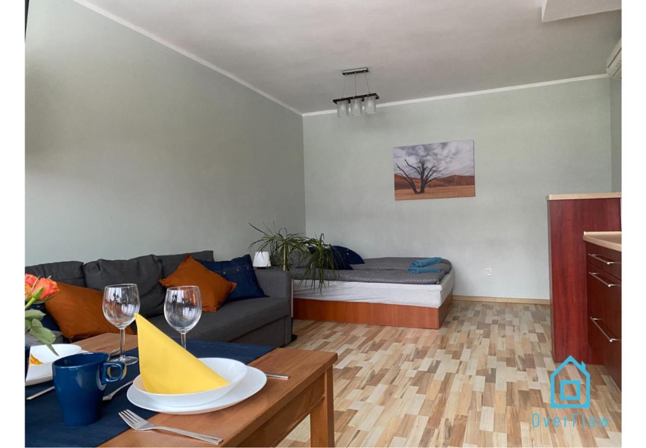 Stary Camel Apartment